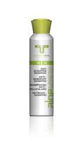 Aloe Vera Men Anti Schuppen Shampoo 200ml vegan Tol Cosmetic