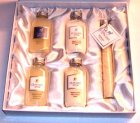 Alpin Derm Reise/Probe Box 5 Produkte Styx