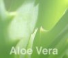 Aloe Vera Serie